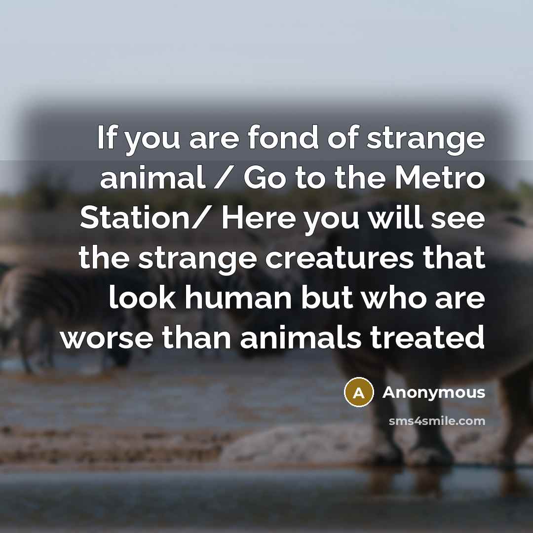 “If you are fond of strange animal / Go to…” quote by Anonymous