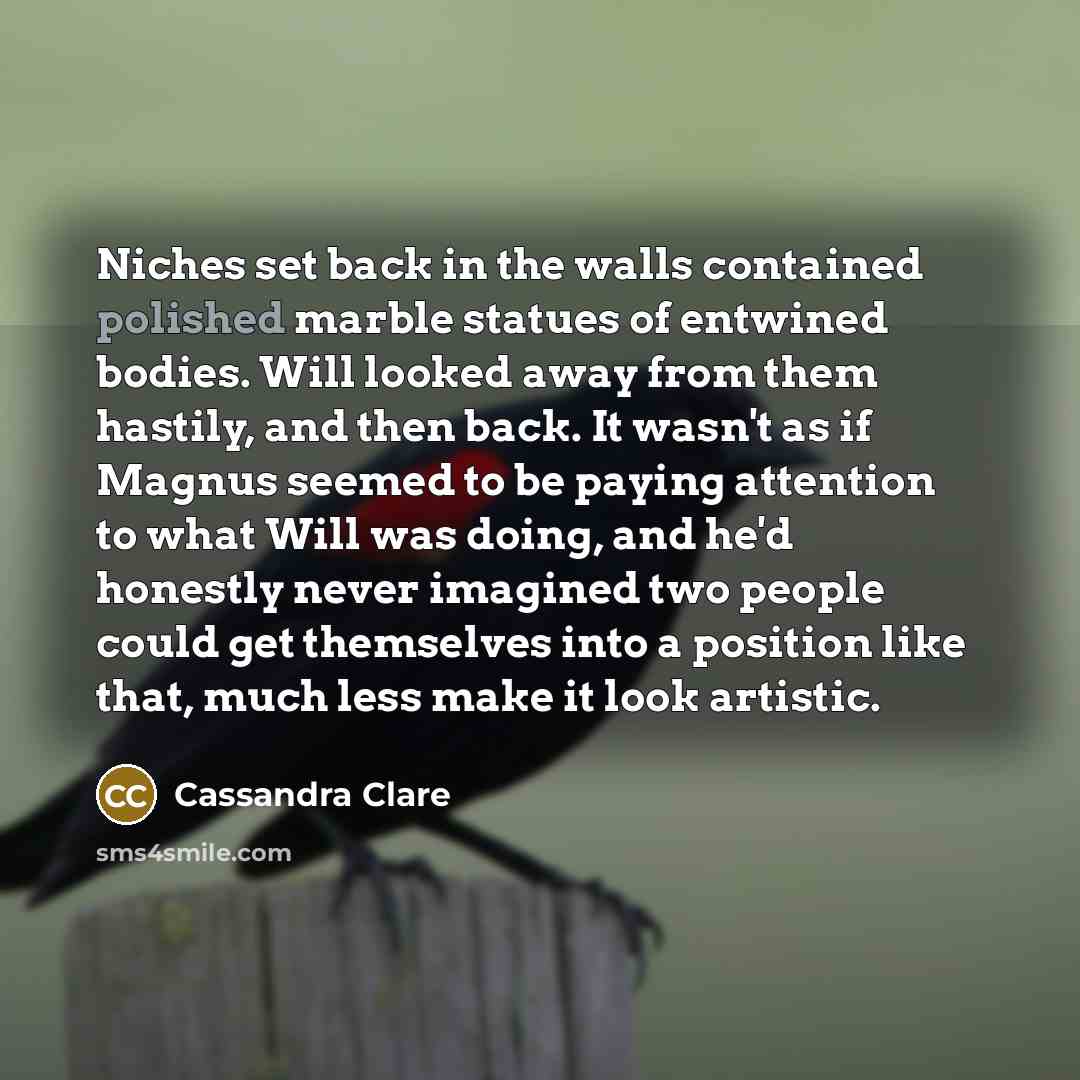 “Niches set back in the walls contained polished marble statues…” quote by Cassandra Clare