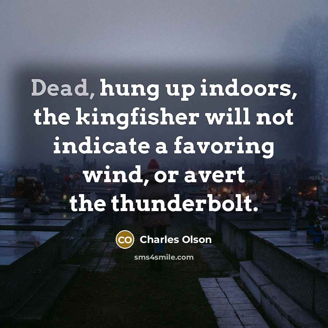 “Dead, hung up indoors, the kingfisher will not indicate a…” quote by Charles Olson
