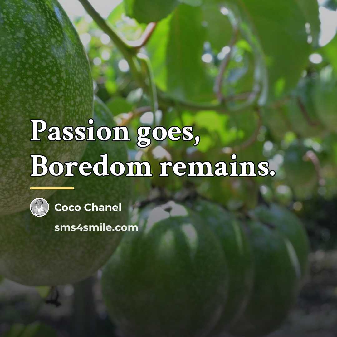 “Passion goes, Boredom remains.…” quote by Coco Chanel