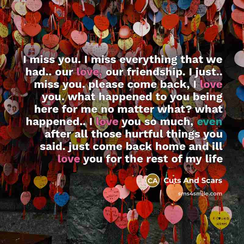 “I miss you. I miss everything that we had.. our…” quote by Cuts And Scars