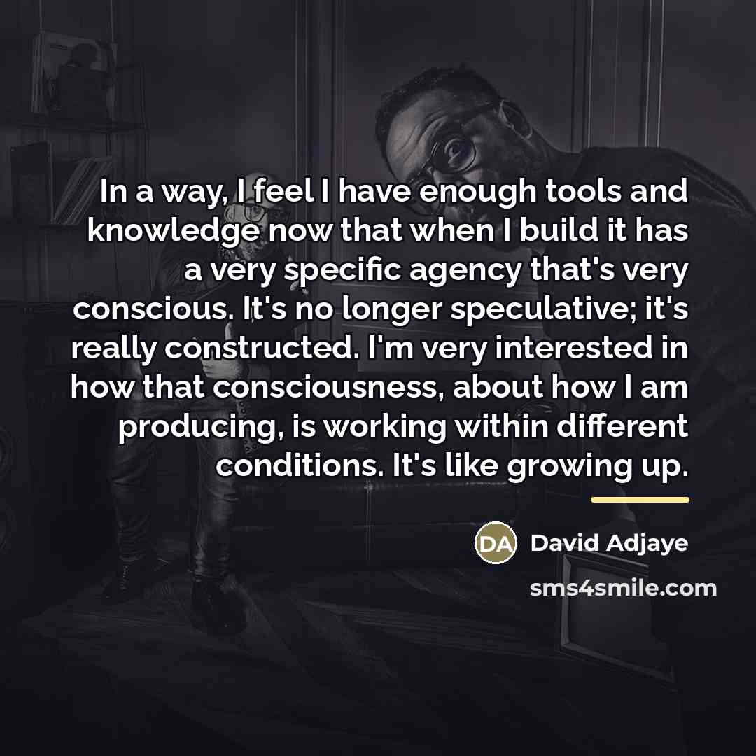 “In a way, I feel I have enough tools and…” quote by David Adjaye