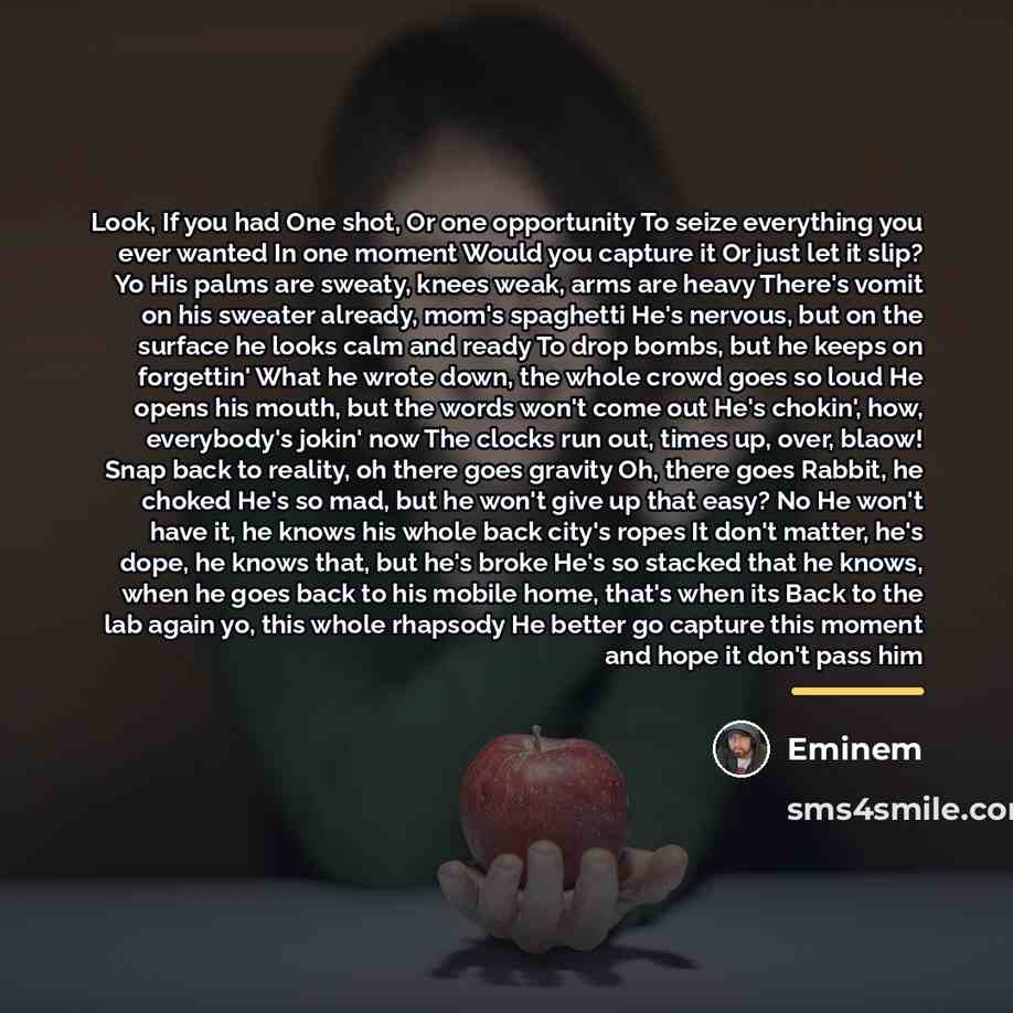“Look, If you had One shot, Or one opportunity To…” quote by Eminem