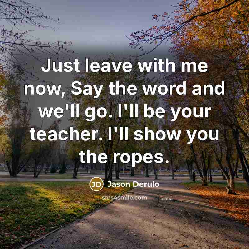 “Just leave with me now, Say the word and we'll go. I'll be your teacher. I'll show you the ropes.” quote by Jason Derulo
