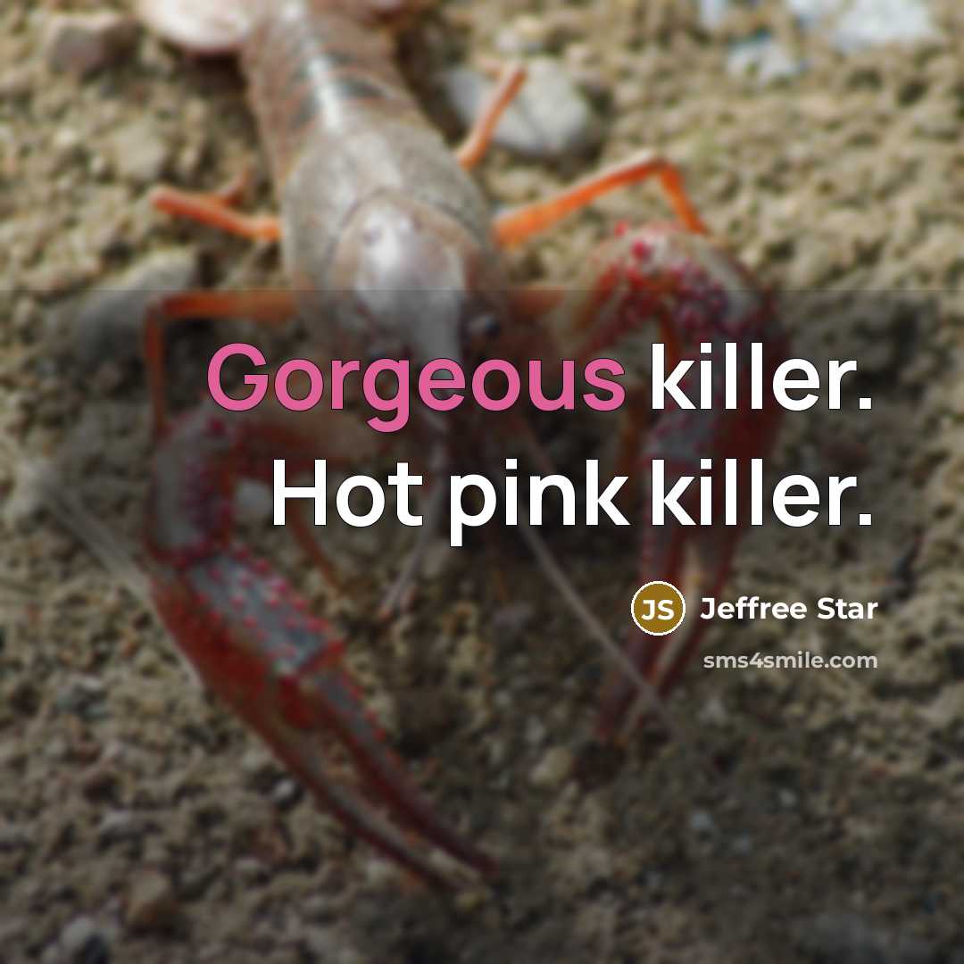 “Gorgeous killer. Hot pink killer.” quote by Jeffree Star