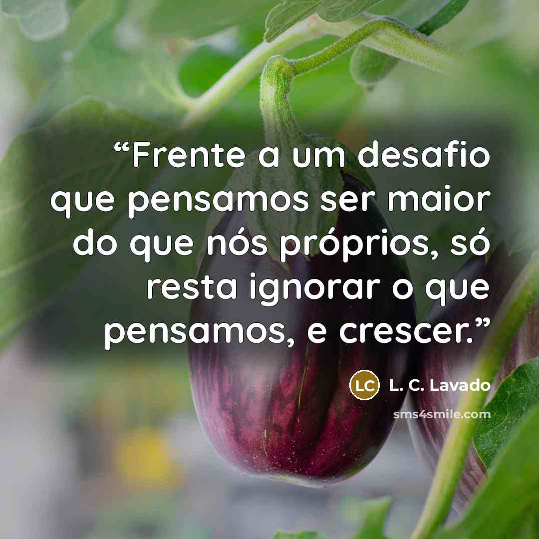 “Frente a um desafio que pensamos ser maior do que nós próprios, só resta ignorar o que pensamos, e crescer.” quote by L. C. Lavado