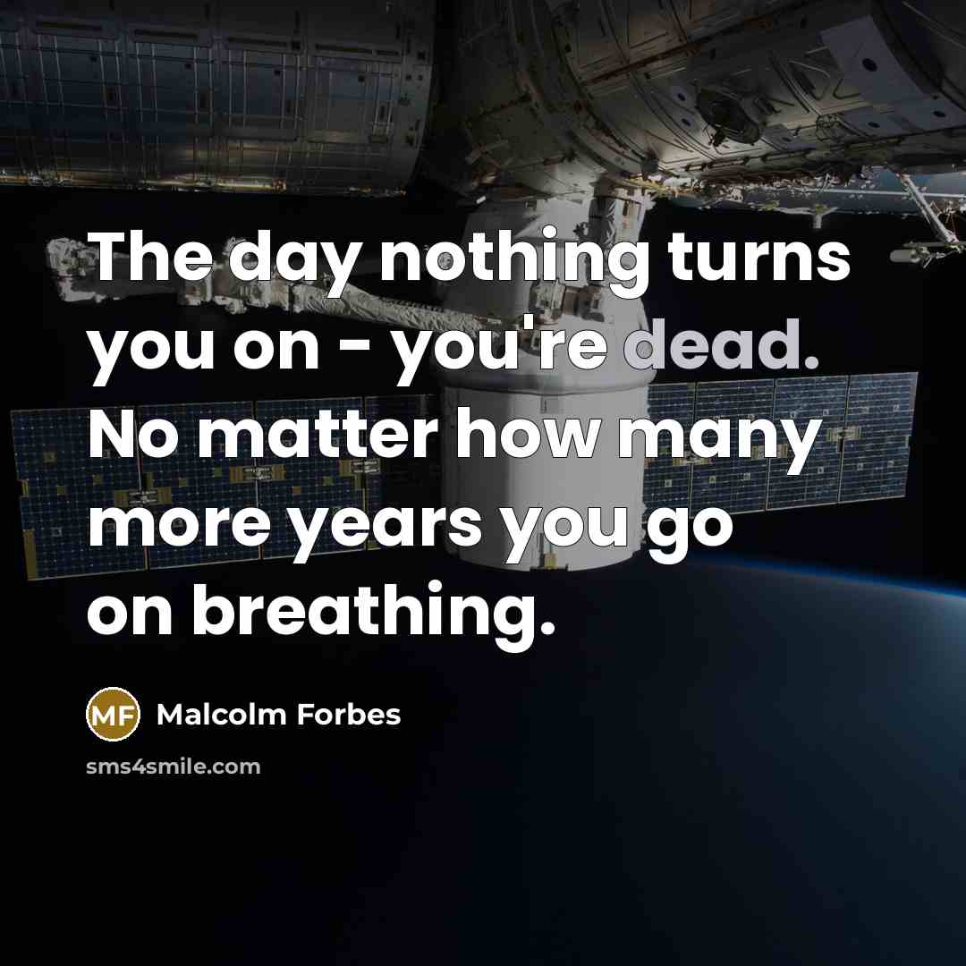 “The day nothing turns you on - you're dead. No…” quote by Malcolm Forbes
