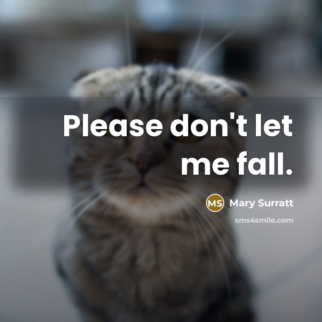 “Please don't let me fall.…” quote by Mary Surratt