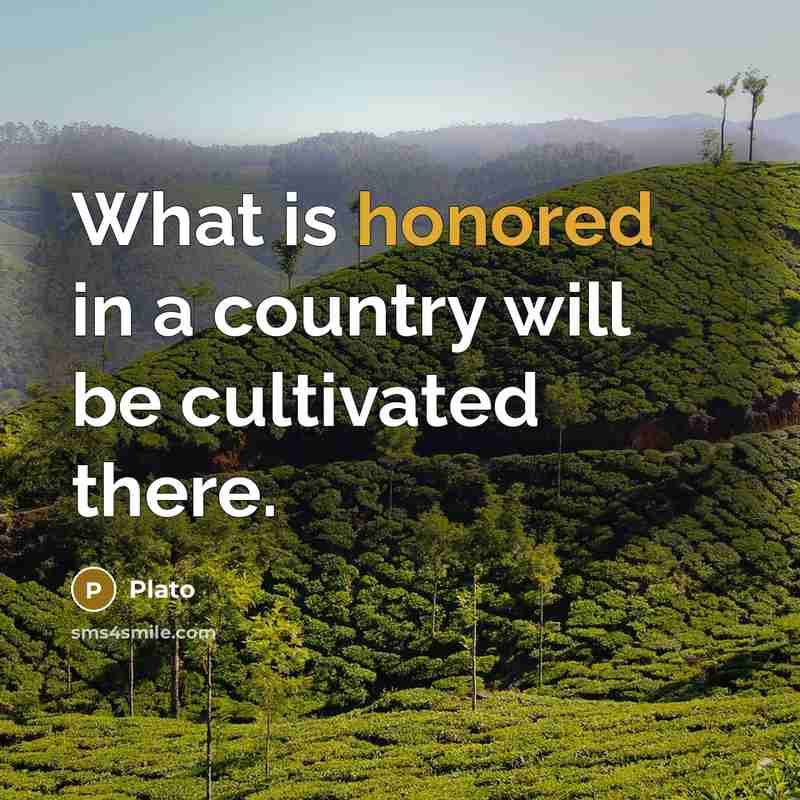 “What is honored in a country will be cultivated there.…” quote by Plato