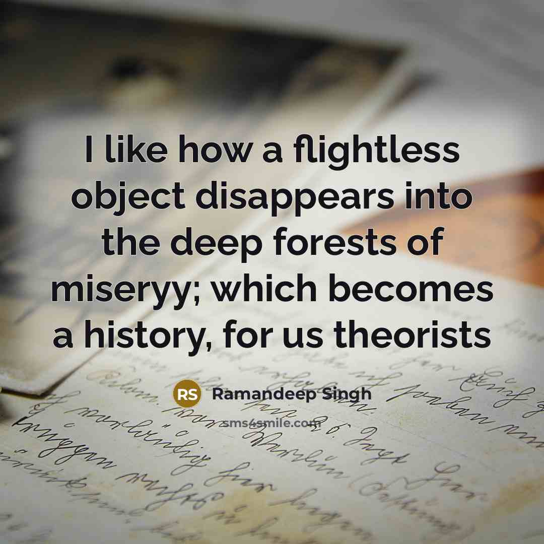 “I like how a flightless object disappears into the deep…” quote by Ramandeep Singh