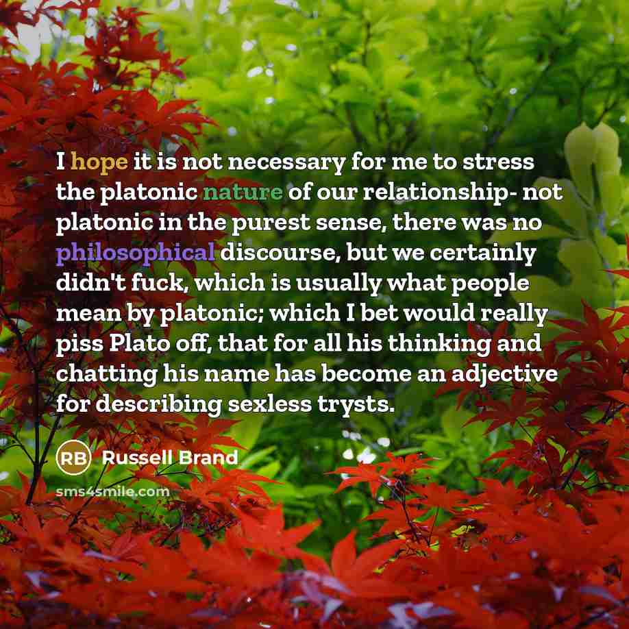 “I hope it is not necessary for me to stress…” quote by Russell Brand