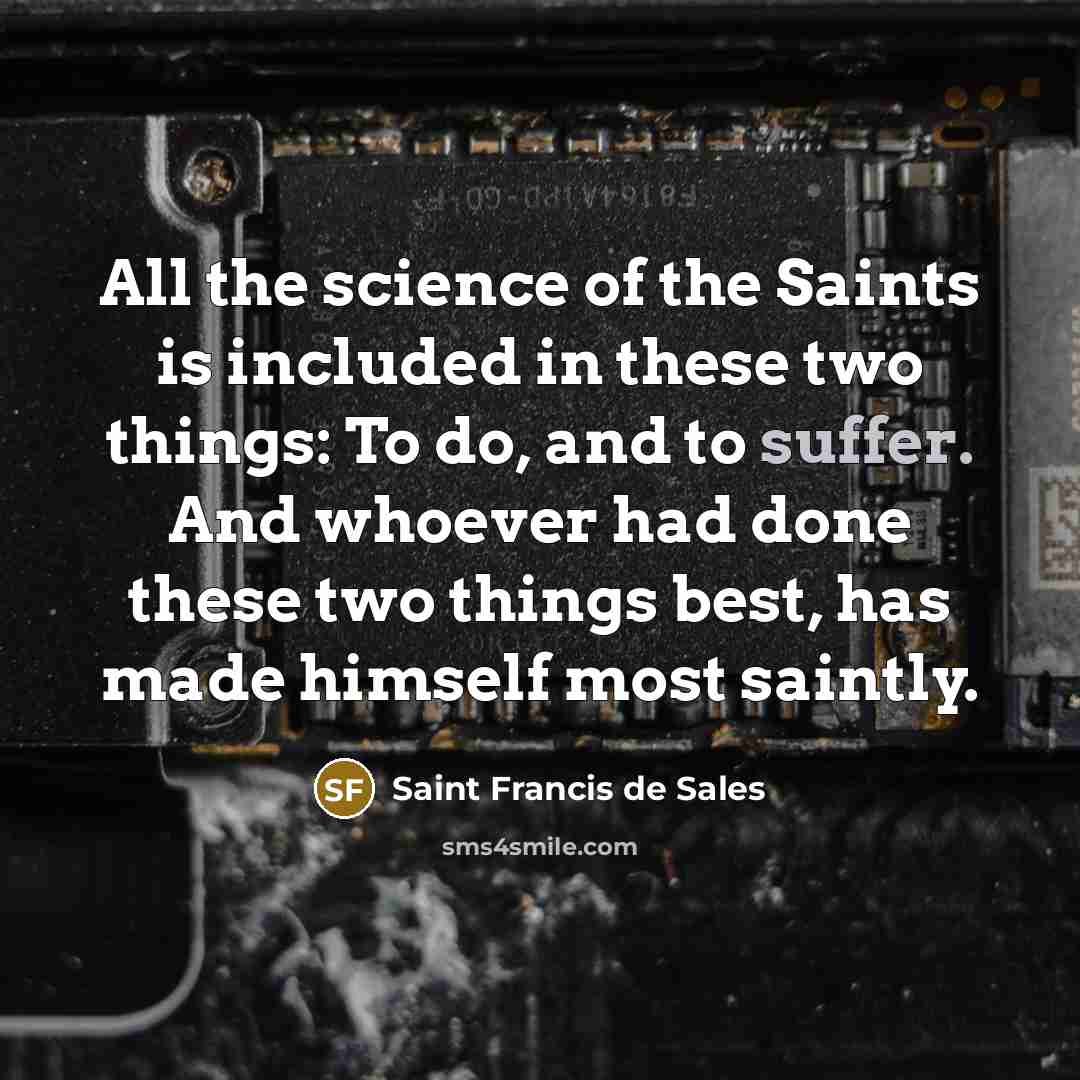 “All the science of the Saints is included in these…” quote by Saint Francis de Sales