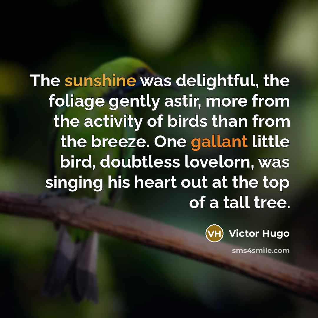 “The sunshine was delightful, the foliage gently astir, more from…” quote by Victor Hugo