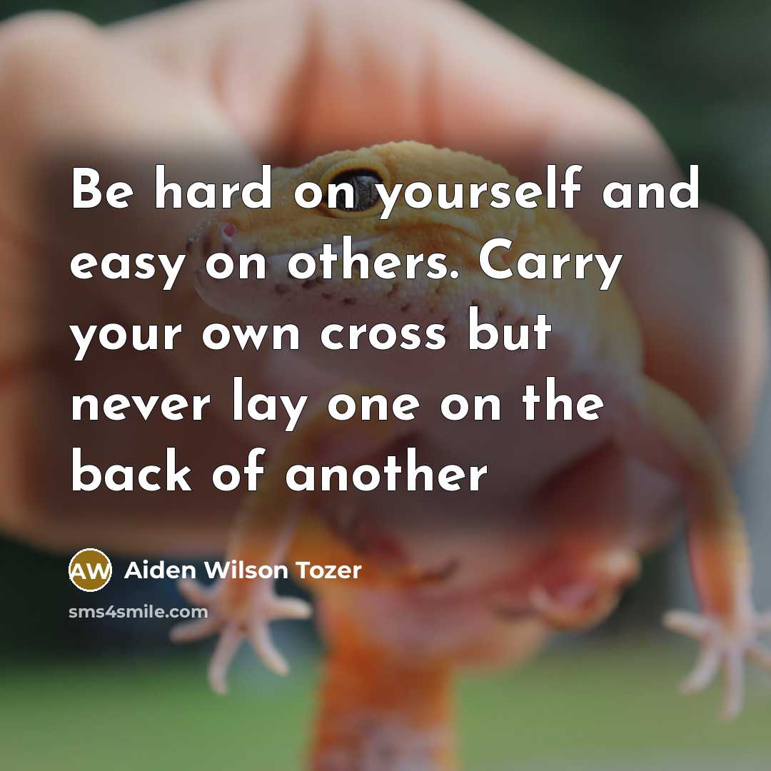 “Be hard on yourself and easy on others. Carry your…” quote by Aiden Wilson Tozer