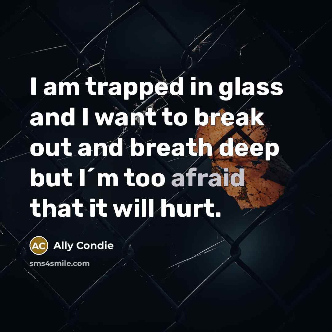 “I am trapped in glass and I want to break…” quote by Ally Condie