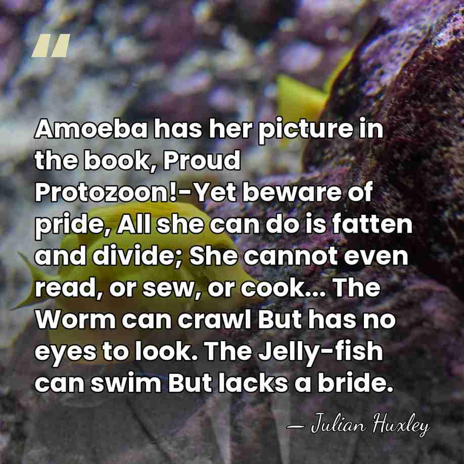 Amoeba has her picture in the book, Proud Protozoon!-Yet beware of pride,&hellip; - Julian Huxley