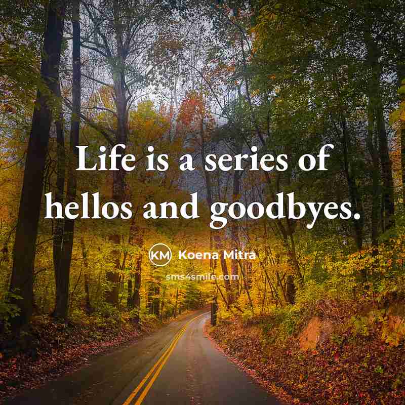 “Life is a series of hellos and goodbyes.…” quote by Koena Mitra