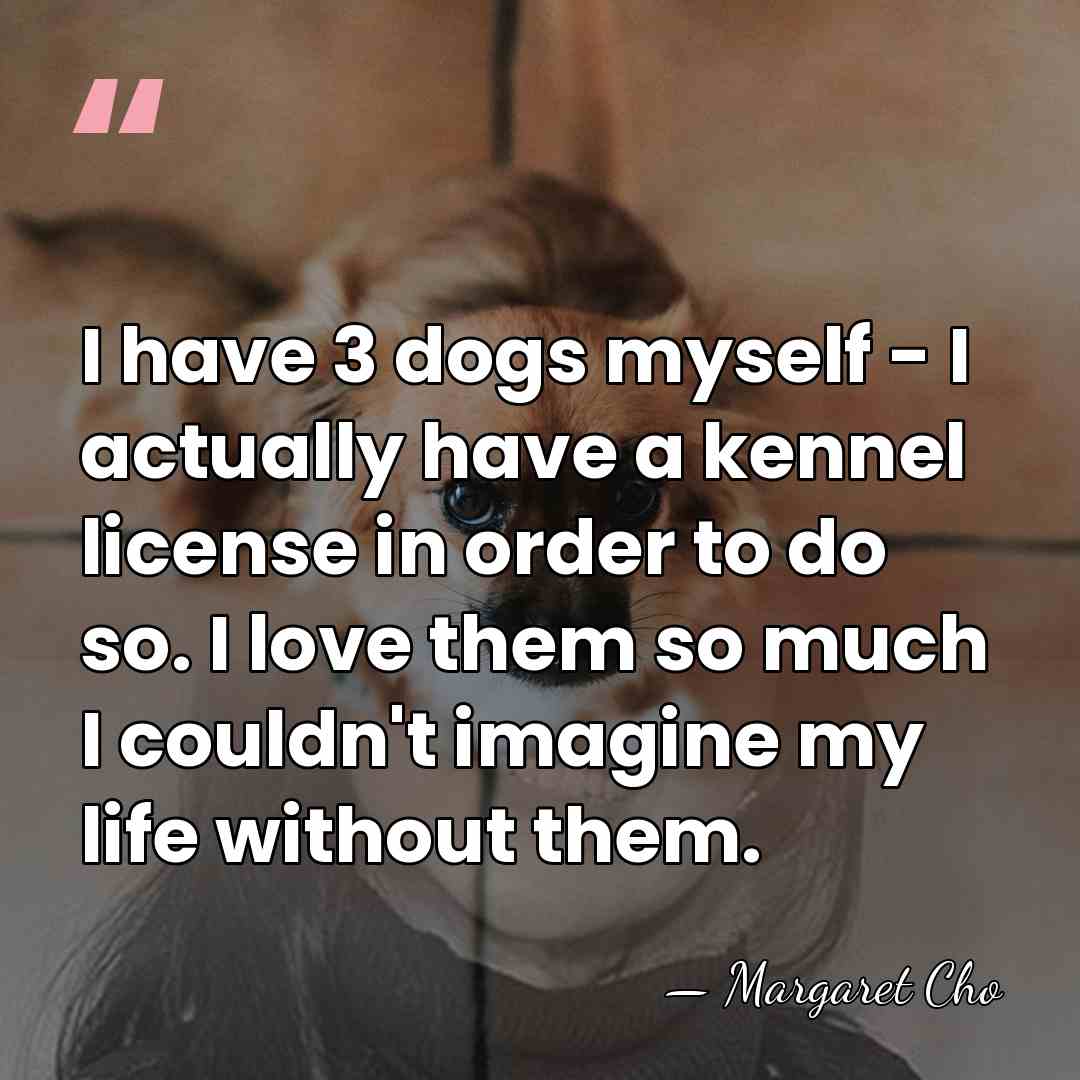 I have 3 dogs myself - I actually have a kennel license&hellip; - Margaret Cho