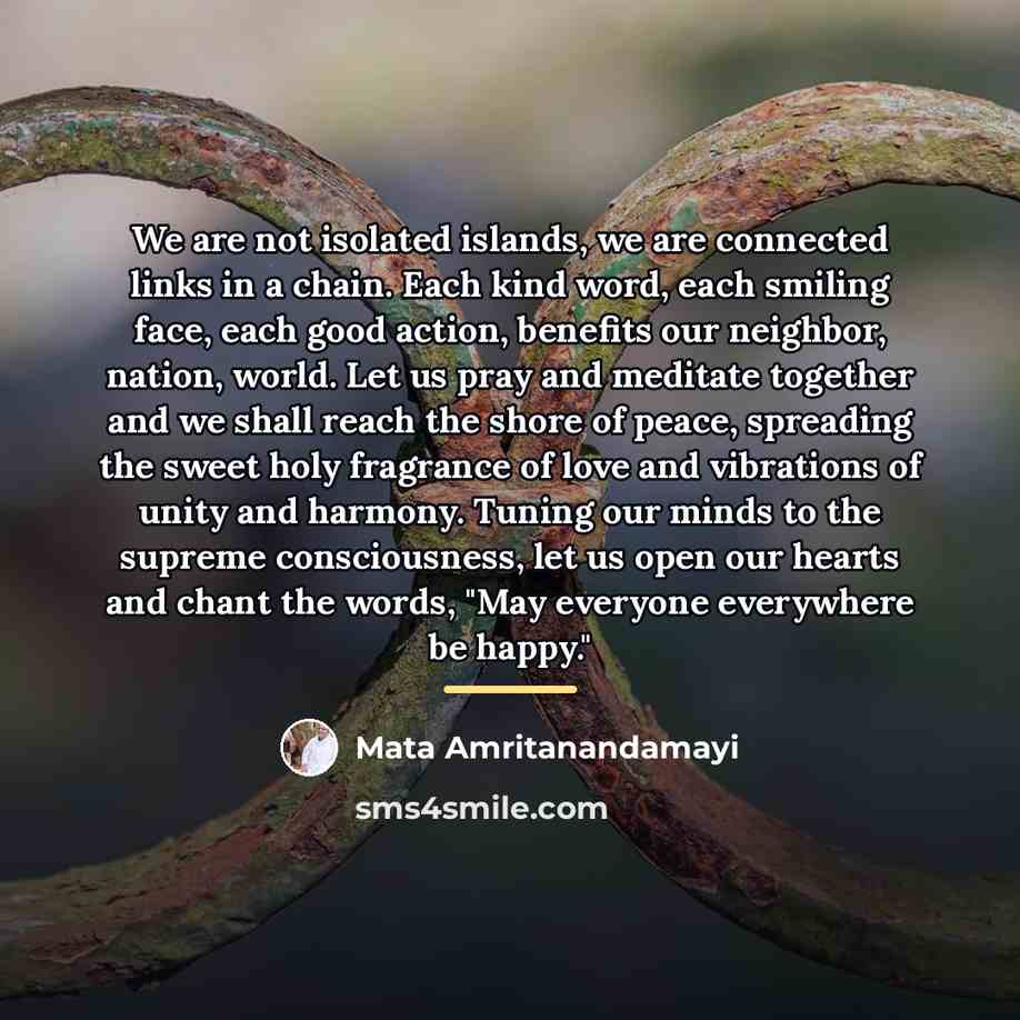 “We are not isolated islands, we are connected links in…” quote by Mata Amritanandamayi