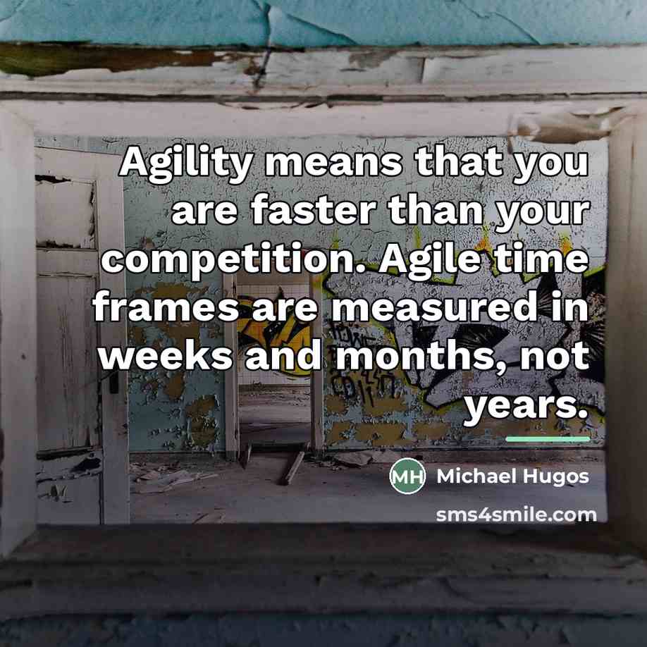 “Agility means that you are faster than your competition. Agile…” quote by Michael Hugos