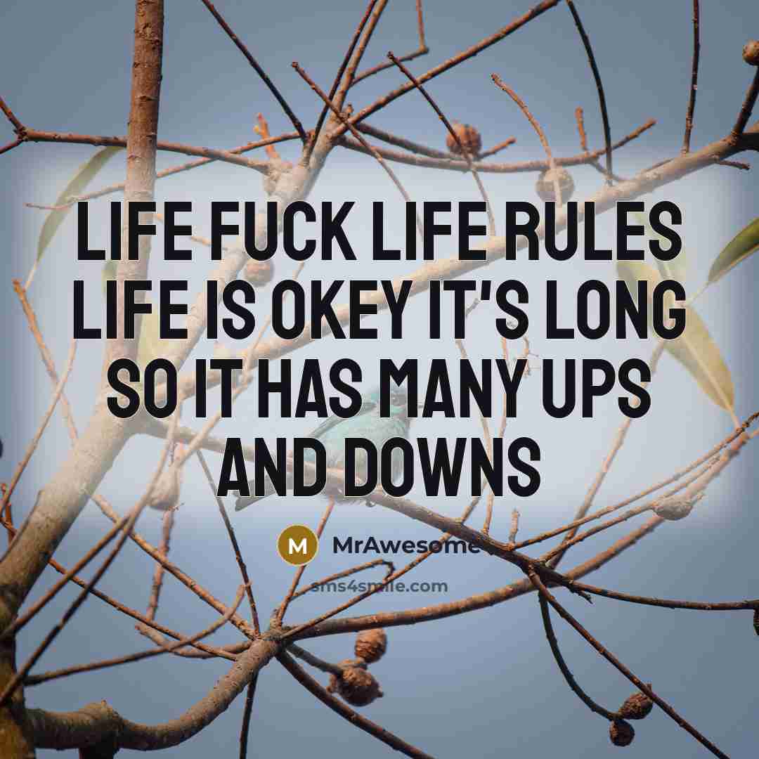 “Life fuck life rules life is okey it's long so…” quote by MrAwesome