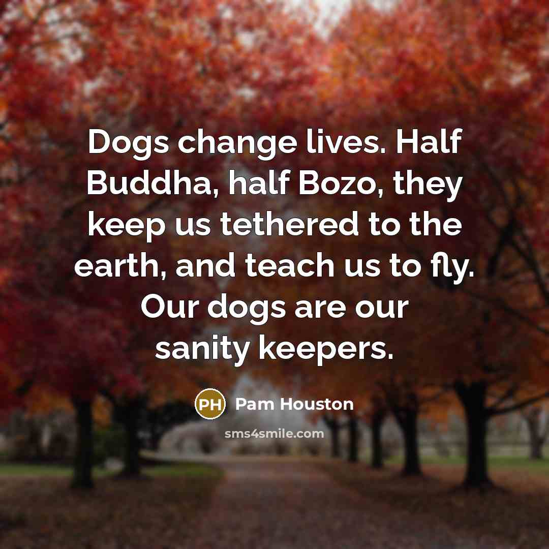 “Dogs change lives. Half Buddha, half Bozo, they keep us…” quote by Pam Houston