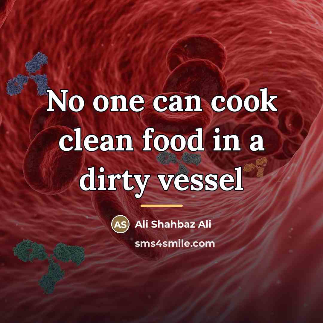 “No one can cook clean food in a dirty vessel…” quote by Ali Shahbaz Ali