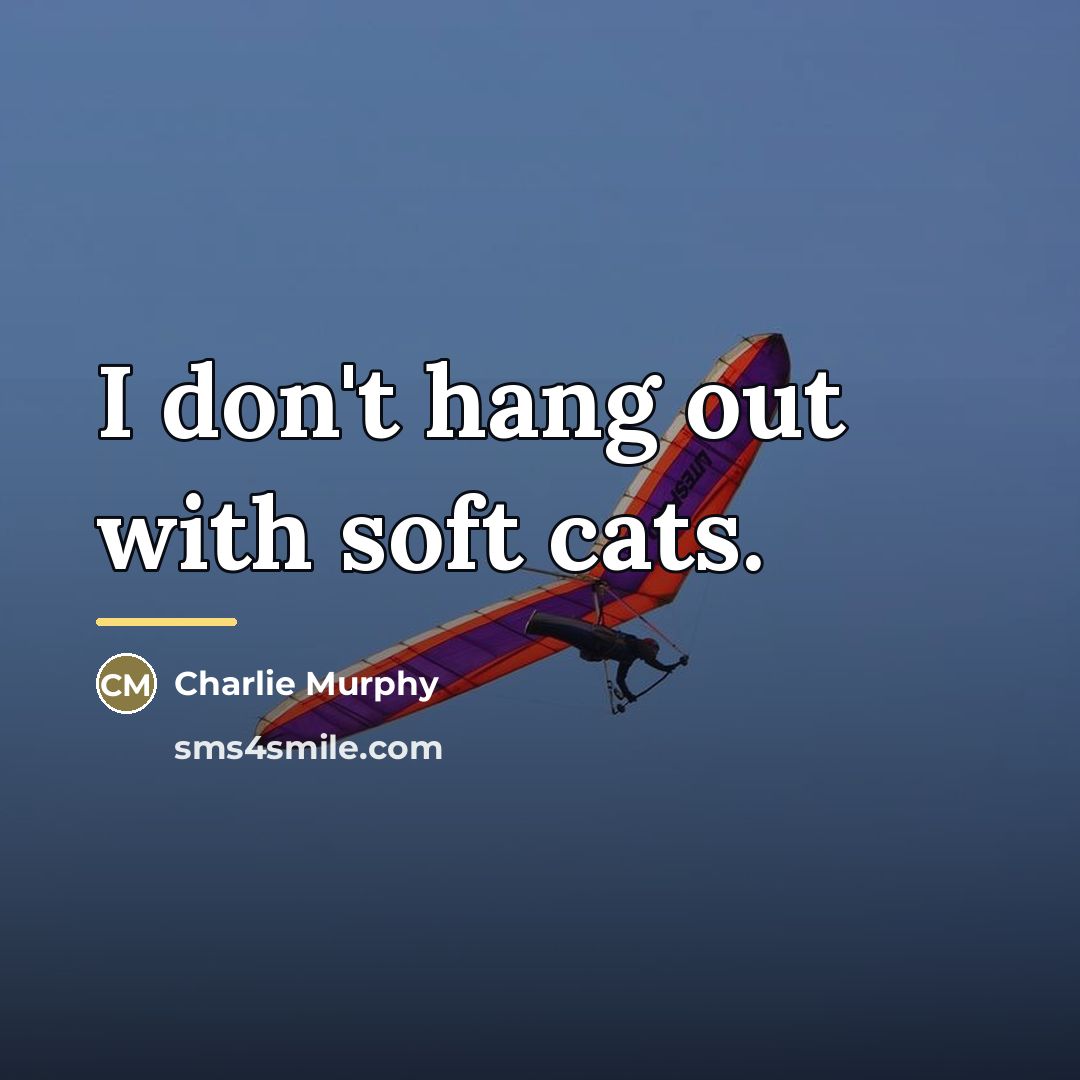 “I don't hang out with soft cats.…” quote by Charlie Murphy