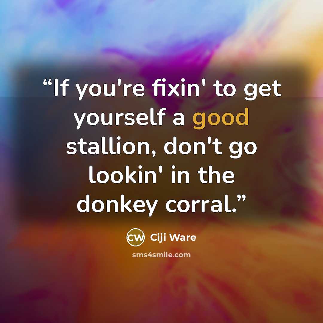 “If you're fixin' to get yourself a good stallion, don't go lookin' in the donkey corral.” quote by Ciji Ware