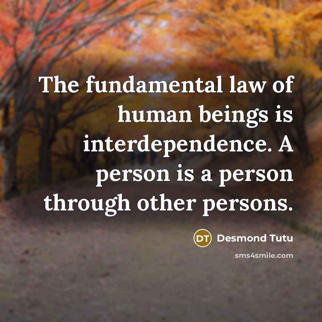 “The fundamental law of human beings is interdependence. A person…” quote by Desmond Tutu