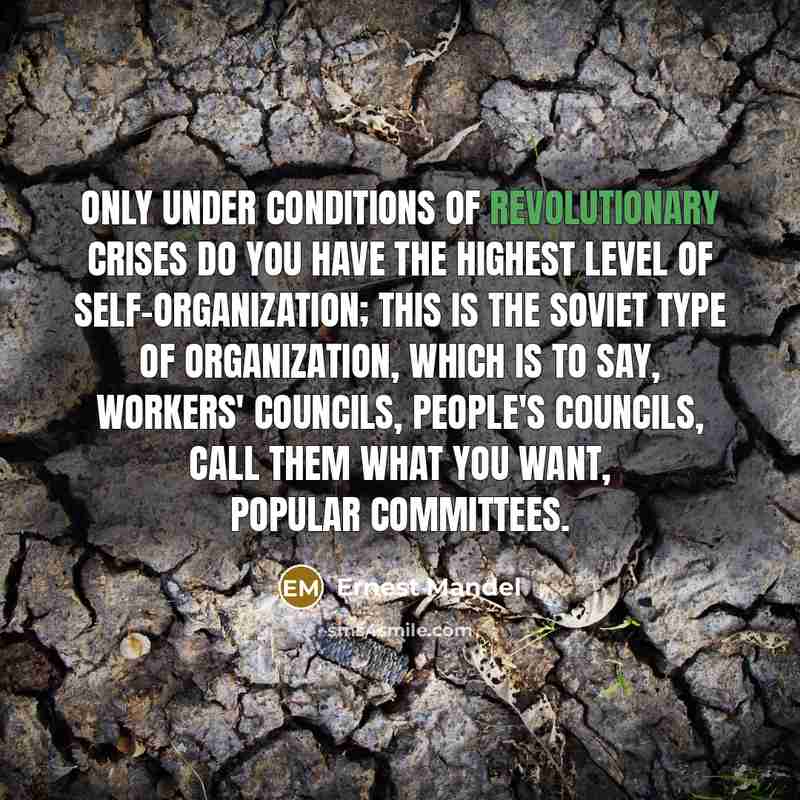 “Only under conditions of revolutionary crises do you have the…” quote by Ernest Mandel