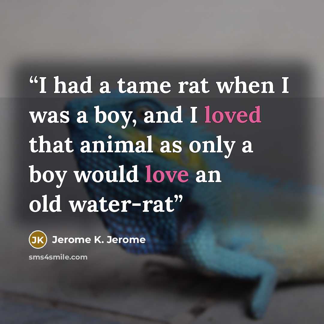 “I had a tame rat when I was a boy, and I loved that animal as only a boy would love an old water-rat” quote by Jerome K. Jerome
