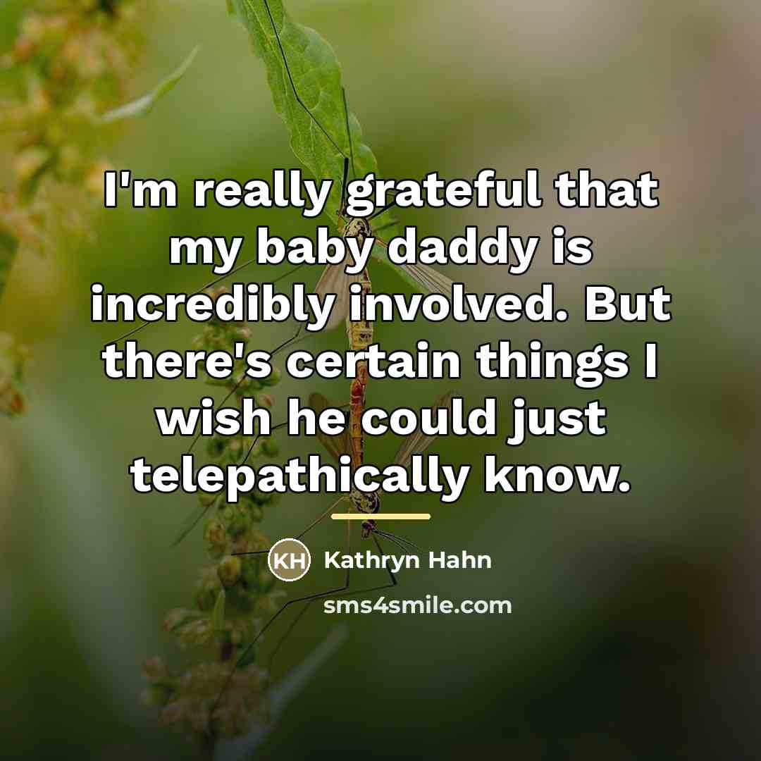 “I'm really grateful that my baby daddy is incredibly involved.…” quote by Kathryn Hahn