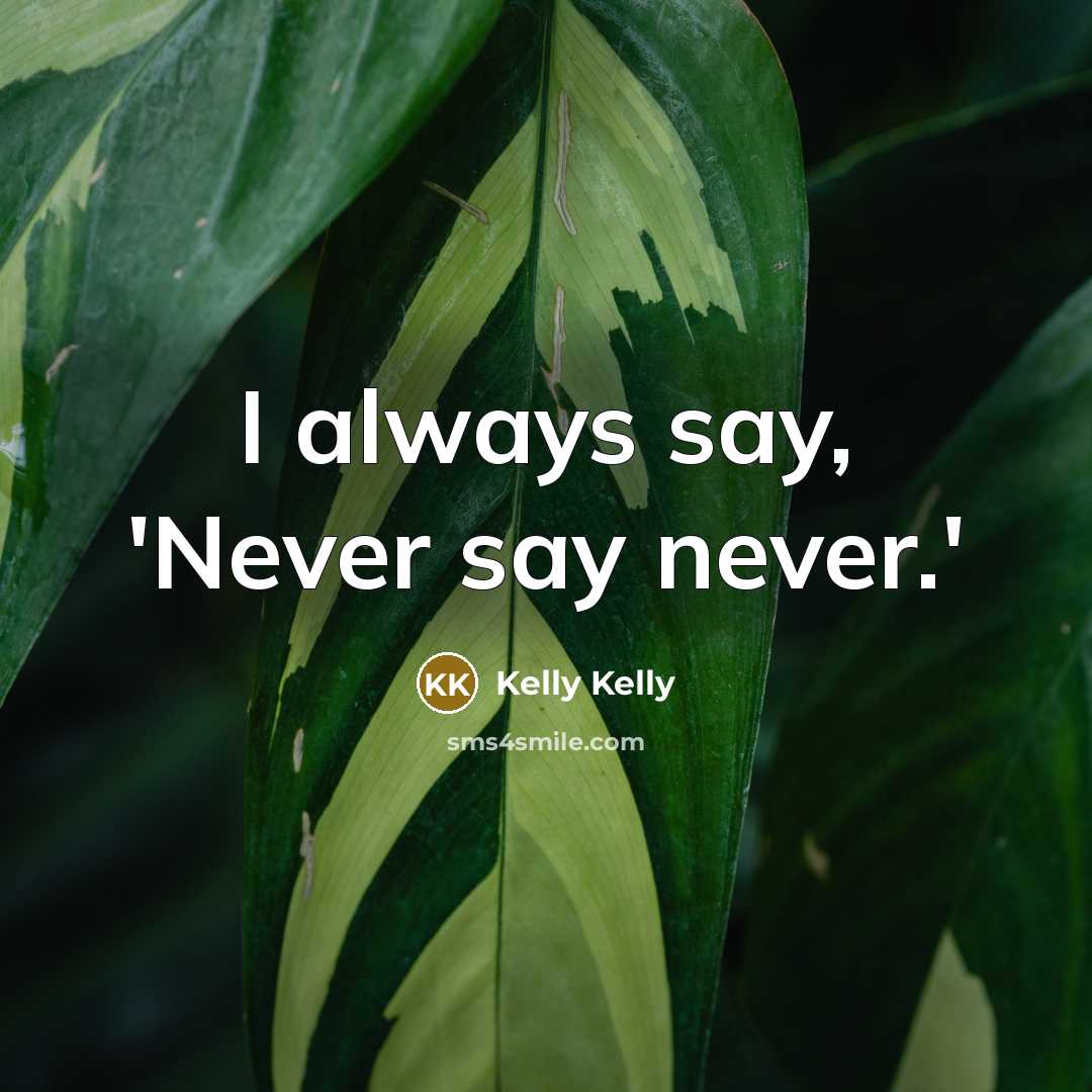 “I always say, 'Never say never.'…” quote by Kelly Kelly