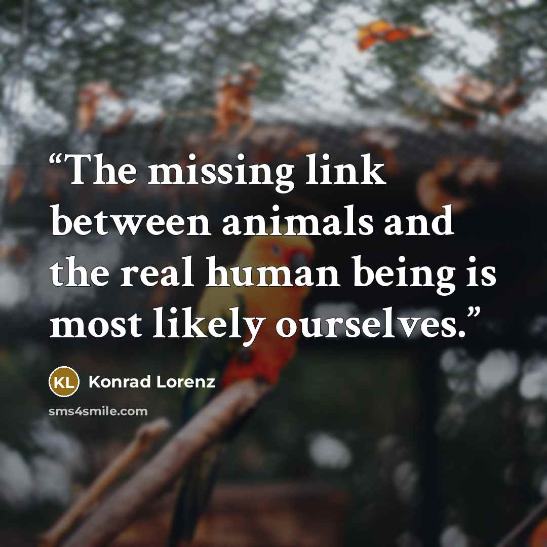 “The missing link between animals and the real human being is most likely ourselves.” quote by Konrad Lorenz