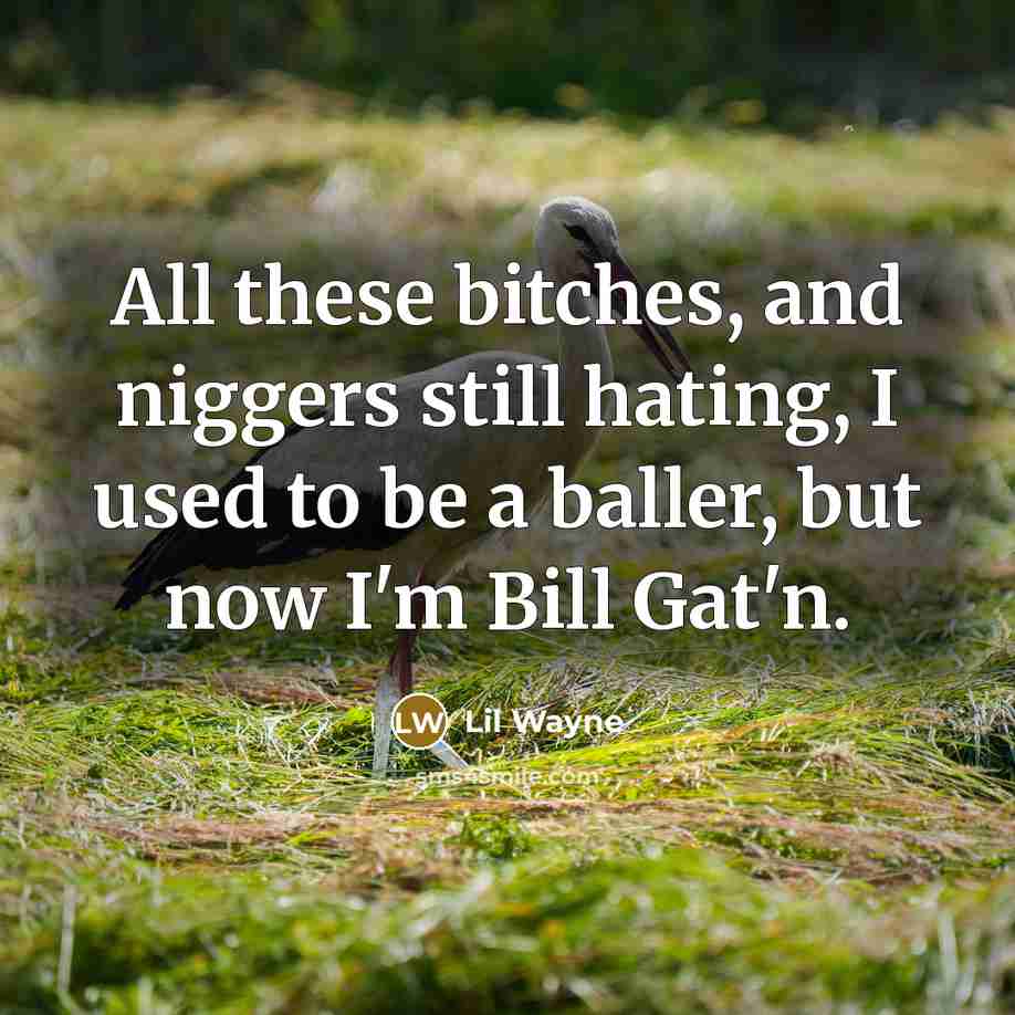 “All these bitches, and niggers still hating, I used to…” quote by Lil Wayne