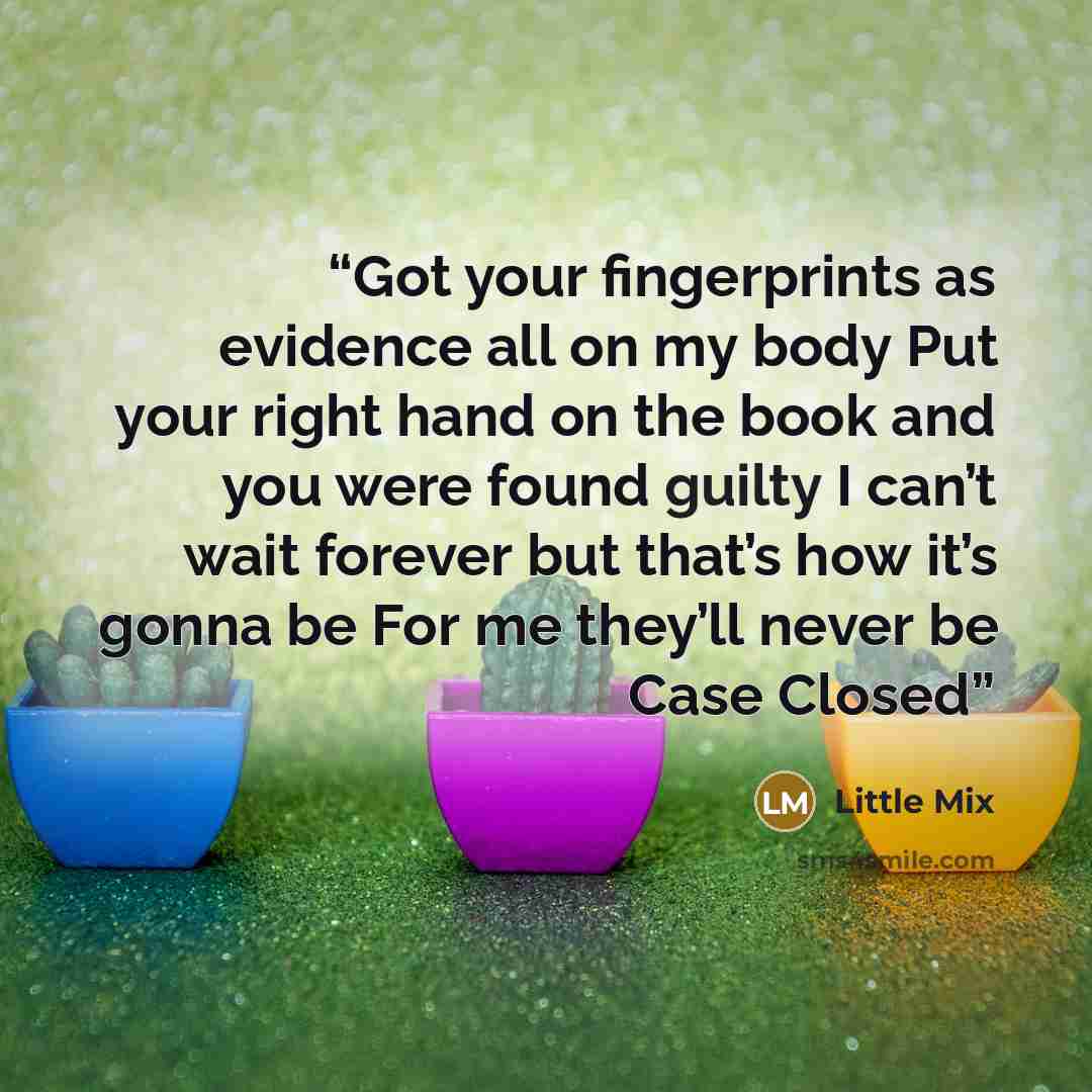 “Got your fingerprints as evidence all on my body Put your right hand on the book and you were found guilty I can’t wait forever but that’s how it’s gonna be For me they’ll never be Case Closed” quote by Little Mix