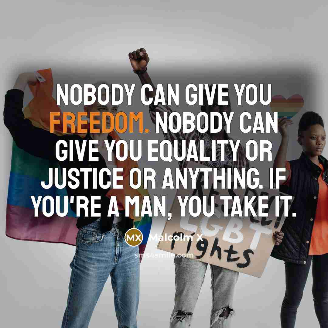 “Nobody can give you freedom. Nobody can give you equality…” quote by Malcolm X