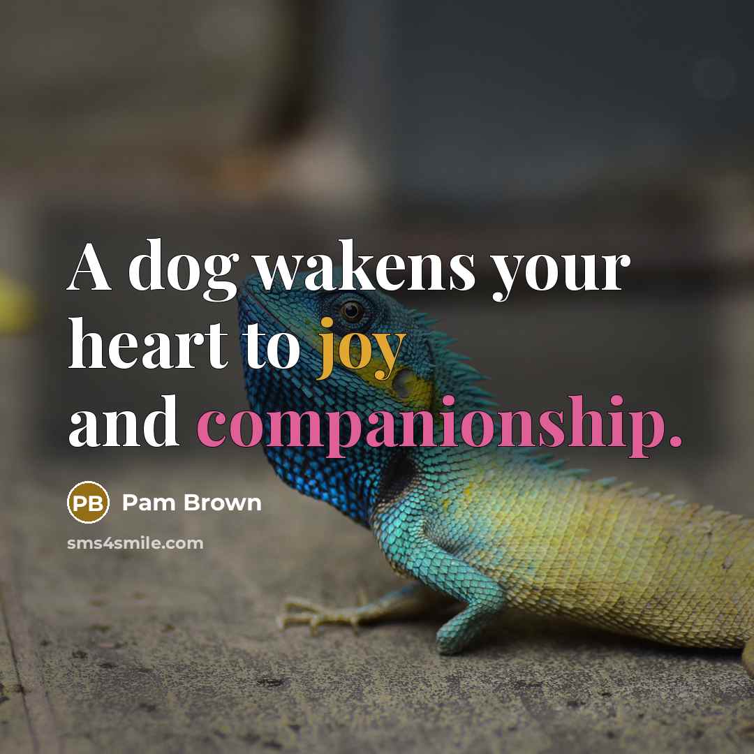 “A dog wakens your heart to joy and companionship.” quote by Pam Brown