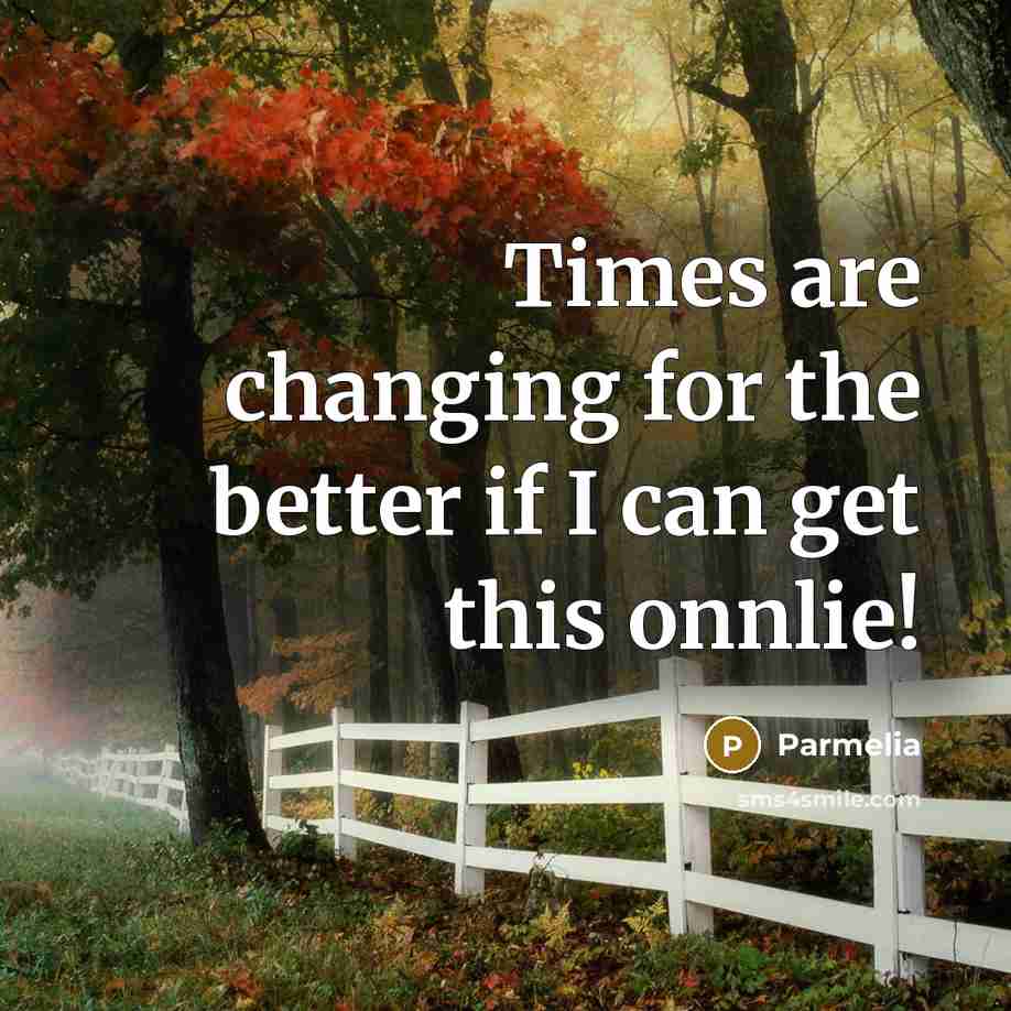 “Times are changing for the better if I can get…” quote by Parmelia