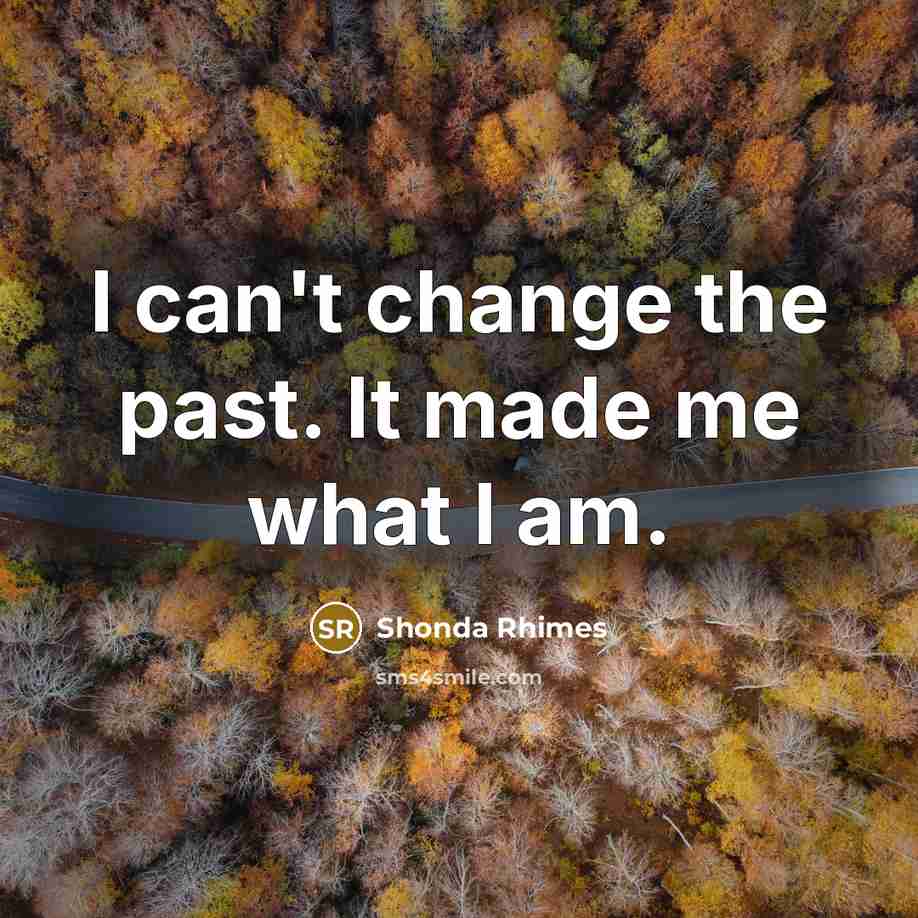 “I can't change the past. It made me what I…” quote by Shonda Rhimes