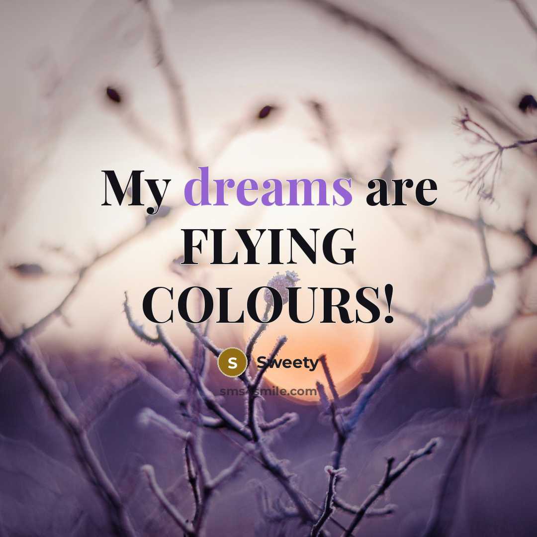 “My dreams are FLYING COLOURS!” quote by Sweety