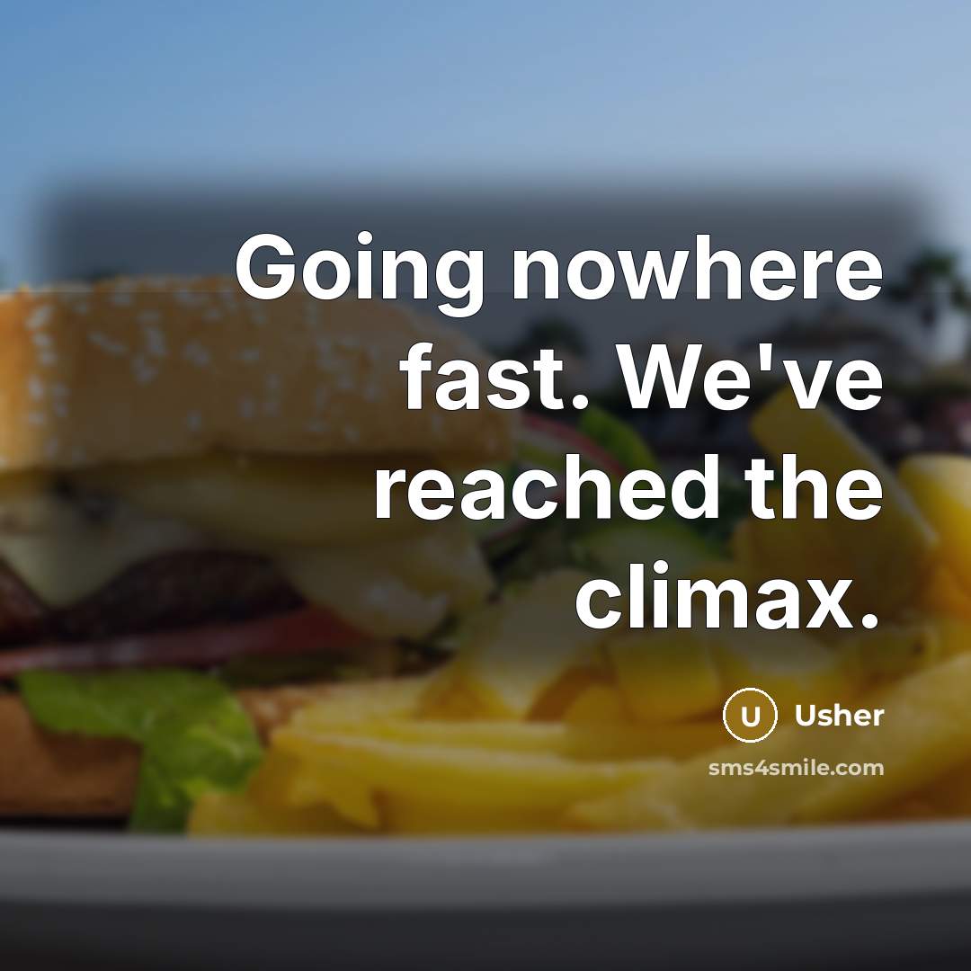 “Going nowhere fast. We've reached the climax.” quote by Usher