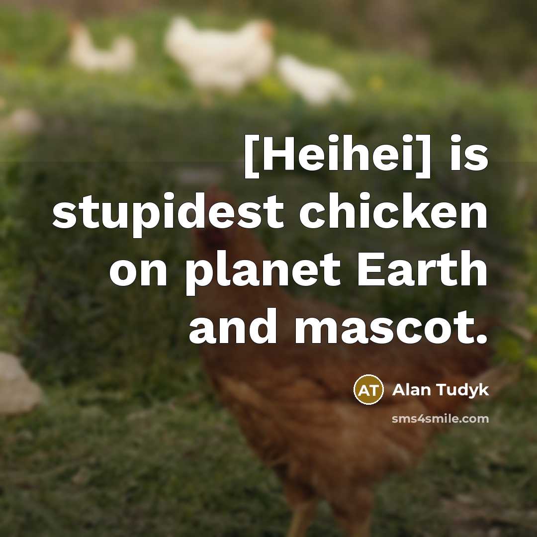 “[Heihei] is stupidest chicken on planet Earth and mascot.” quote by Alan Tudyk