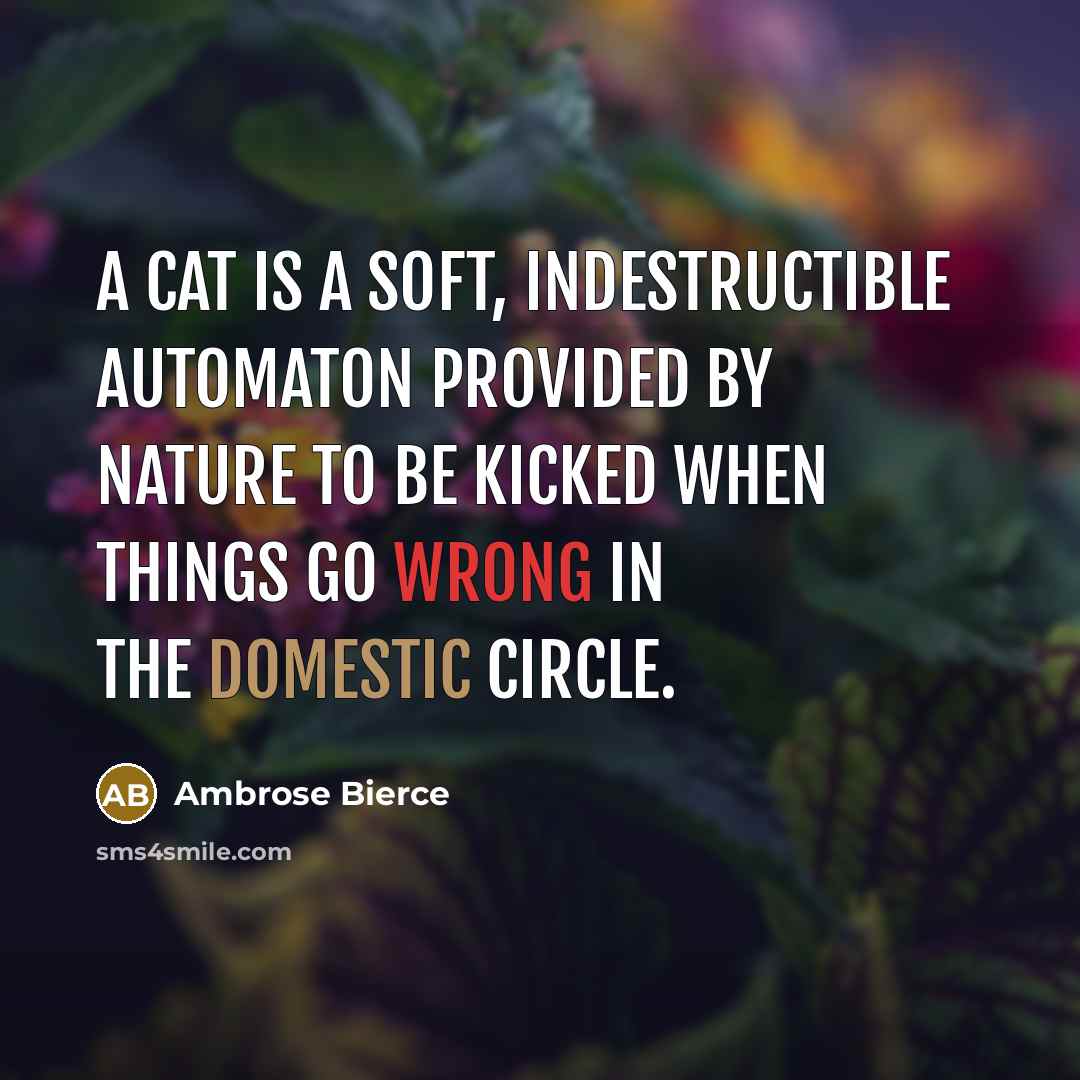 “A cat is a soft, indestructible automaton provided by nature to be kicked when things go wrong in the domestic circle.” quote by Ambrose Bierce
