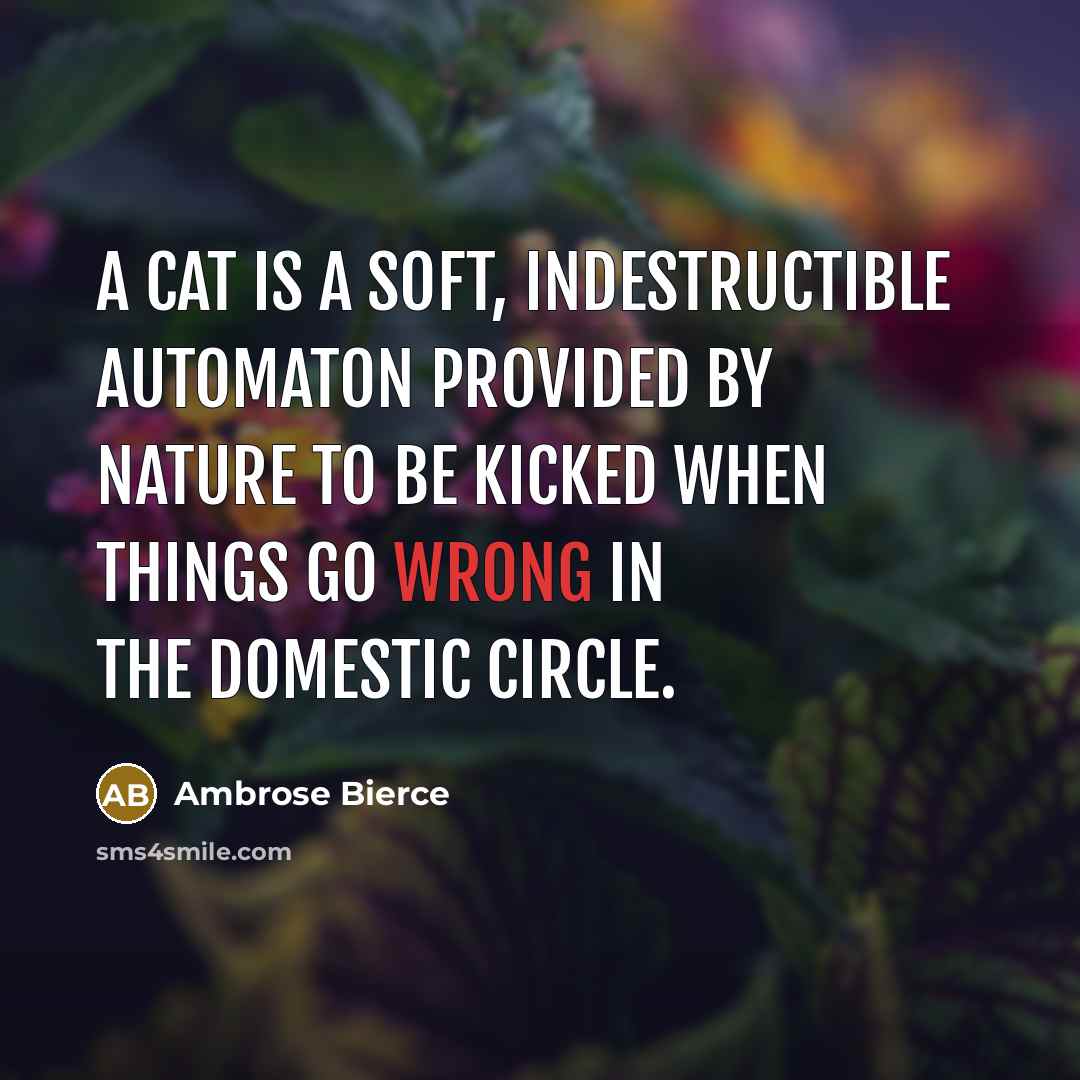 “A cat is a soft, indestructible automaton provided by nature…” quote by Ambrose Bierce