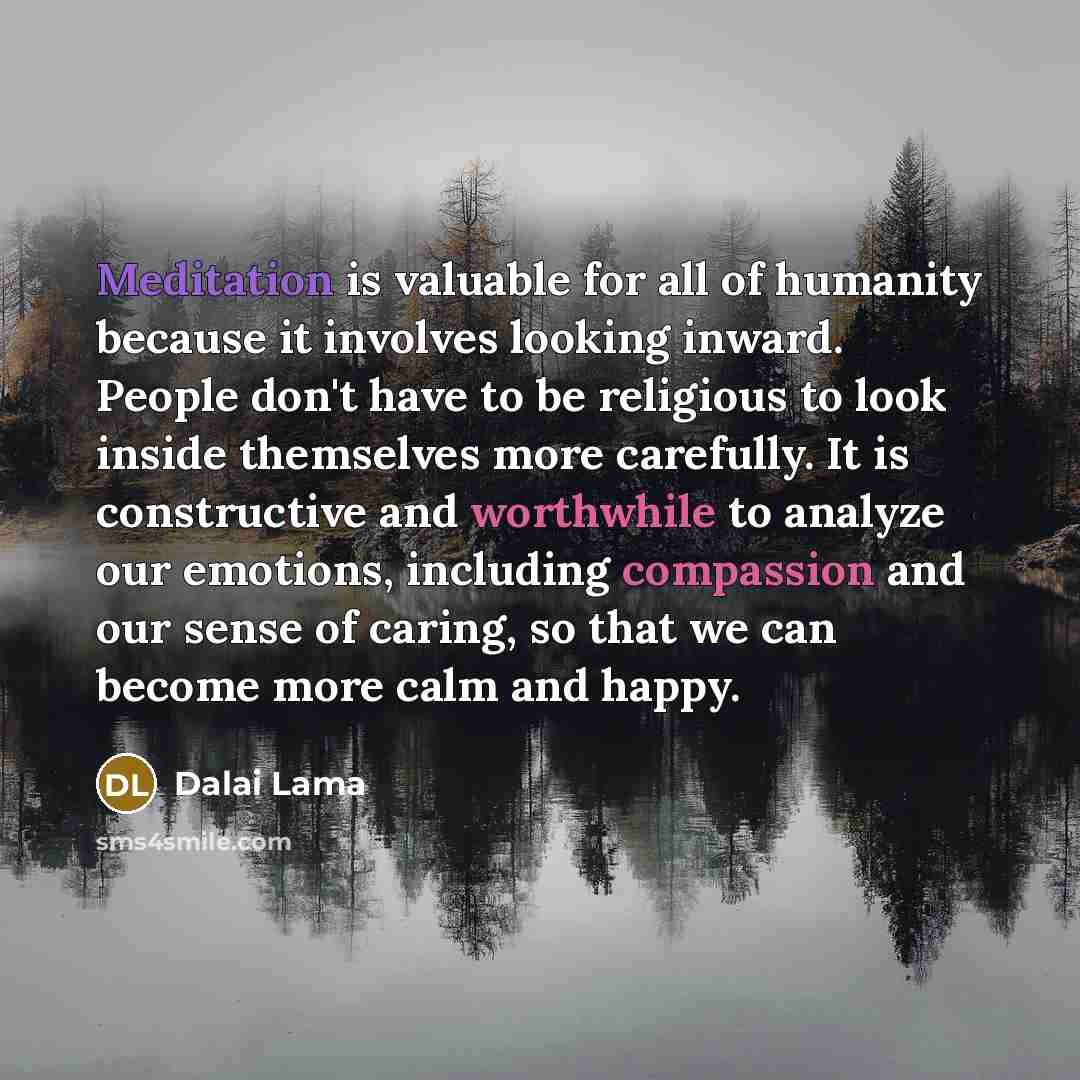 “Meditation is valuable for all of humanity because it involves…” quote by Dalai Lama