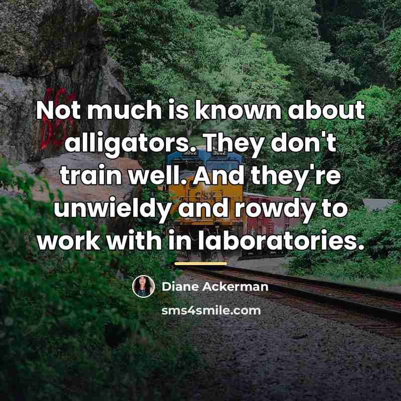 “Not much is known about alligators. They don't train well.…” quote by Diane Ackerman