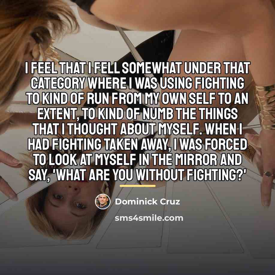 “I feel that I fell somewhat under that category where…” quote by Dominick Cruz