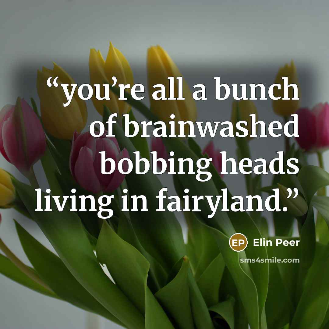“you’re all a bunch of brainwashed bobbing heads living in fairyland.” quote by Elin Peer